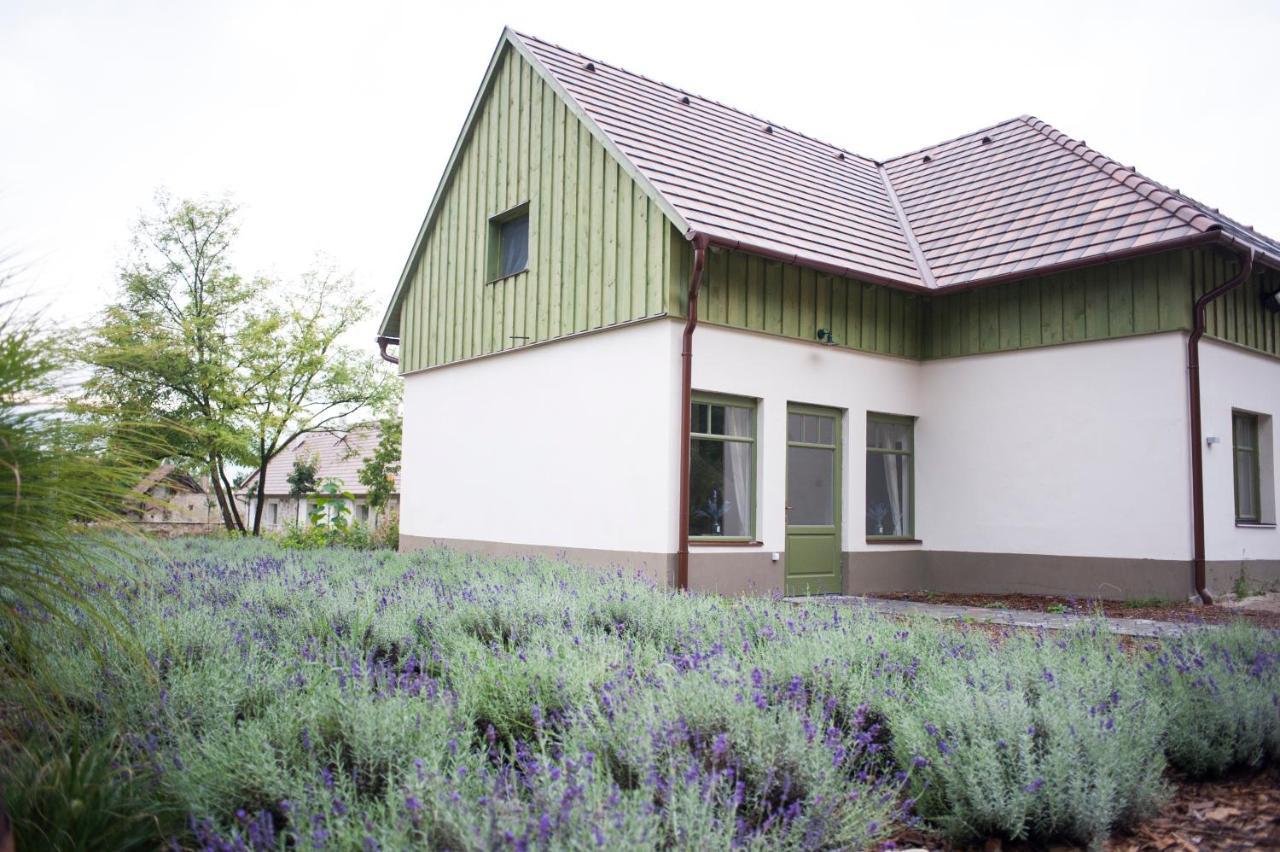 Pajta Apartman Es Vendeghaz Tata Exterior photo