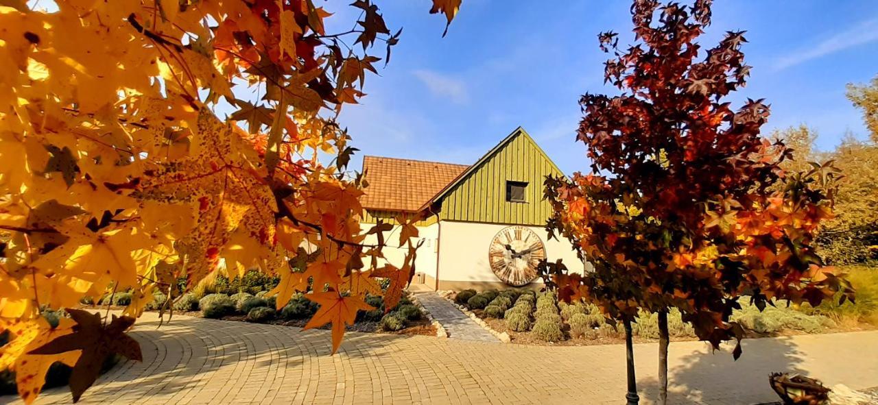 Pajta Apartman Es Vendeghaz Tata Exterior photo